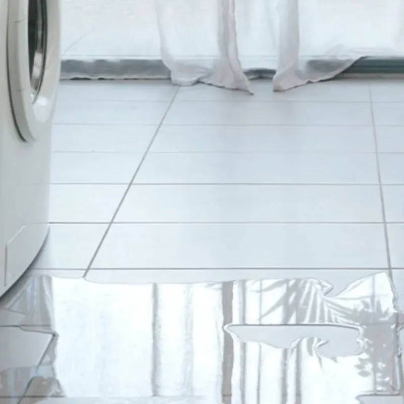 Appliance Leak Cleanup in Zion, IL