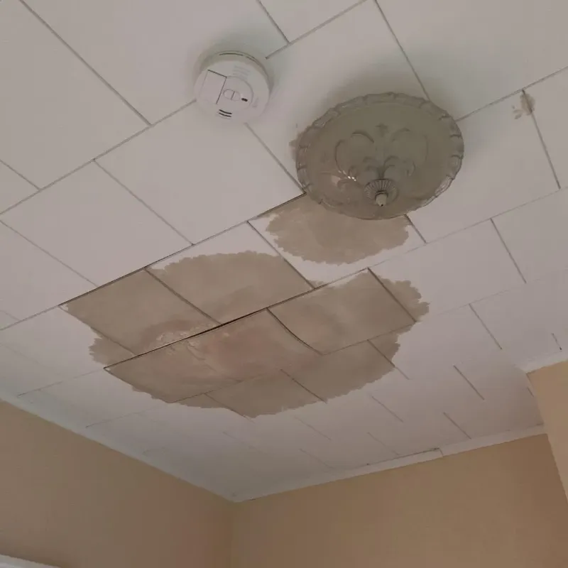 Ceiling Water Damage Repair in Zion, IL