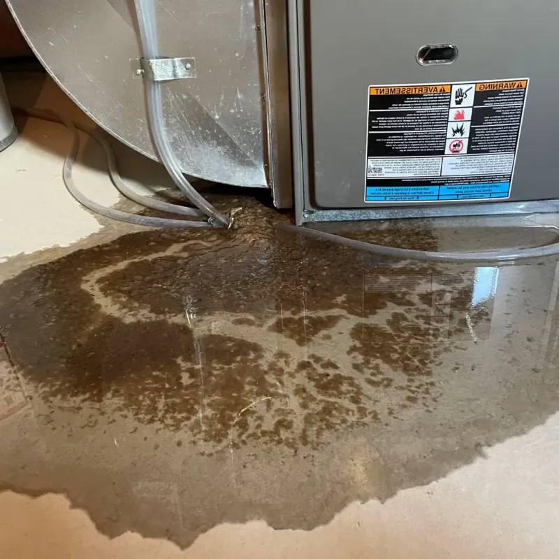 Pipe Burst and Leak Restoration in Zion, IL