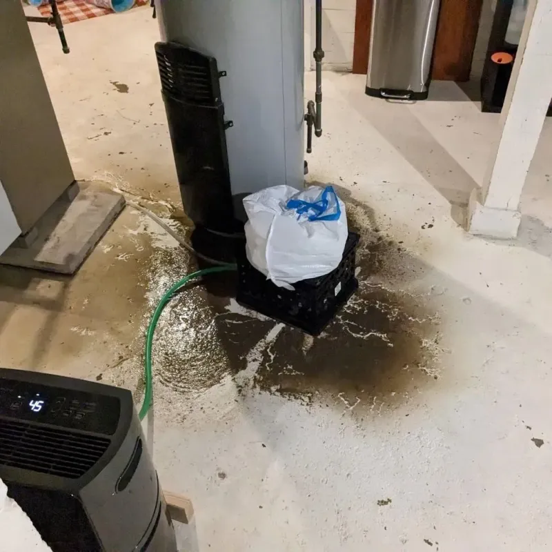 Sewage Backup Cleanup Service in Zion, IL